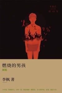 燃烧的男孩（2013新版）