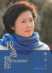 书籍 我遇到你的封面