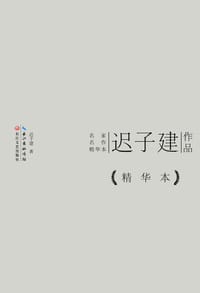 迟子建作品精华本 - 迟子建