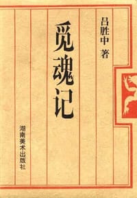 书籍 觅魂记的封面