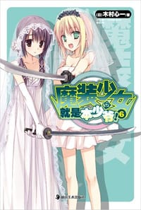 书籍 魔装少女就是本少爷！ 06的封面