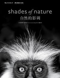 自然的影调 - [荷] 海因里希·范登伯格
