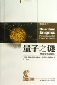 量子之谜 - [美] 布鲁斯·罗森布鲁姆