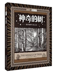 神奇的树 - 奥拉维•胡达瑞