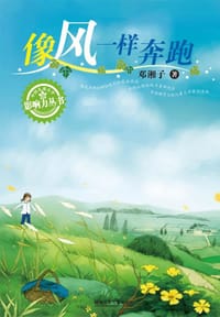 像风一样奔跑 - 邓湘子