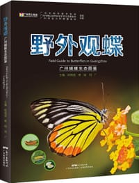 野外观蝶 - 陈锡昌