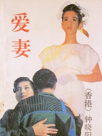 书籍 爱妻的封面