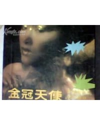书籍 金冠天使的封面