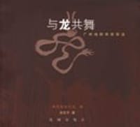 书籍 与龙共舞的封面