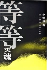 书籍 等等灵魂的封面