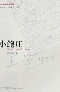 书籍 小鲍庄的封面