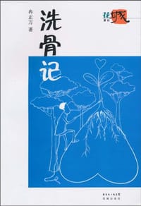 书籍 洗骨记的封面