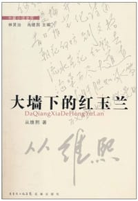 书籍 大墙下的红玉兰的封面