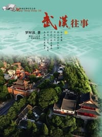 武汉往事 - 罗时汉