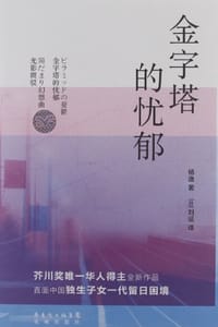 书籍 金字塔的忧郁的封面