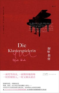 书籍 钢琴教师的封面