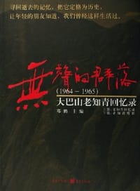 书籍 无声的群落的封面