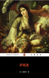 书籍 萨朗波的封面