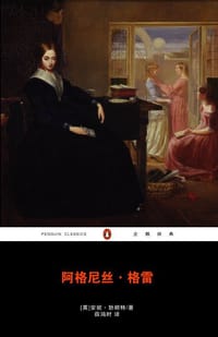 书籍 阿格尼丝.格雷的封面