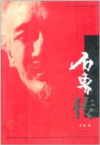 书籍 石鲁传的封面