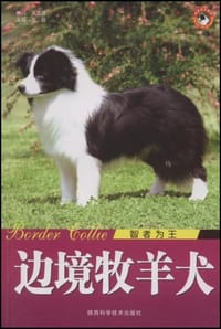 智者为王