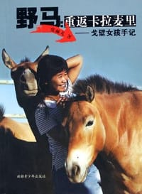 野马 - 张赫凡
