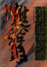 书籍 中华推拿大成的封面