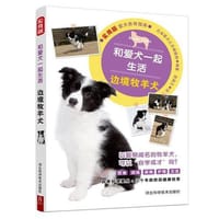 和爱犬一起生活：边境牧羊犬