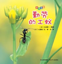 亲亲自然:勤劳的工蚁 - 【日】久保秀一/摄影