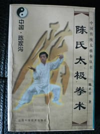 陈氏太极拳术 - 陈正雷