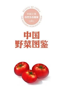 书籍 中国野菜图鉴的封面