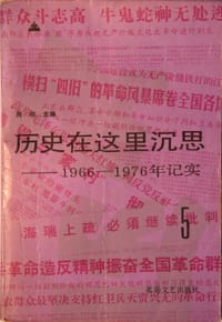 书籍 历史在这里沉思5的封面