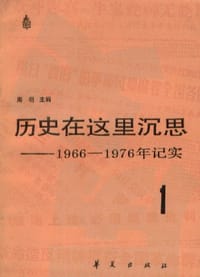 书籍 历史在这里沉思（1）的封面