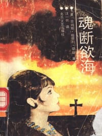 书籍 魂断欲海的封面