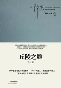 书籍 丘陵之雕的封面