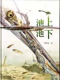 书籍 池上池下的封面