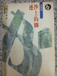 书籍 沙上的脚迹的封面