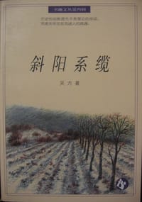 书籍 斜阳系缆的封面