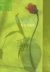 书籍 慢慢微笑的封面