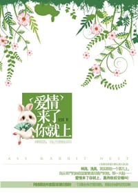 书籍 爱情来了你就上的封面
