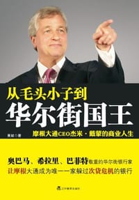 书籍 从毛头小子到华尔街国王的封面