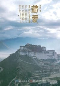 藏爱 - 李悠