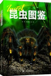 书籍 昆虫图鉴的封面