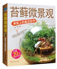 苔藓微景观 - 屿路
