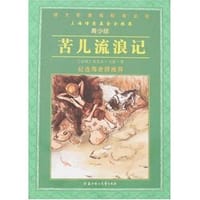 书籍 苦儿流浪记的封面