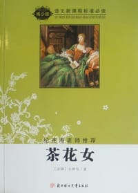 书籍 茶花女的封面