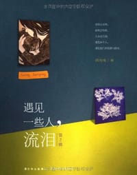 书籍 遇见一些人，流泪.第2辑的封面