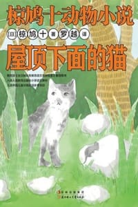屋顶下面的猫