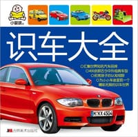 识车大全