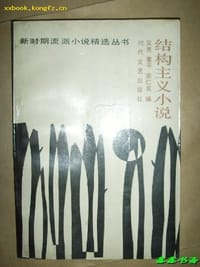 书籍 结构主义小说的封面